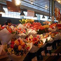 diane_w_muller avatar