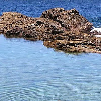 elizabethmccardell avatar