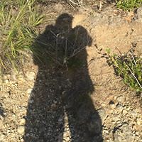 sahir_santiago avatar