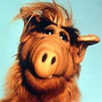 54f59198ca427 avatar