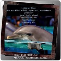 kelley_oldfieldward avatar