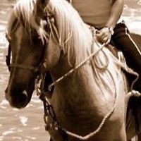 michelle_powell_92775 avatar