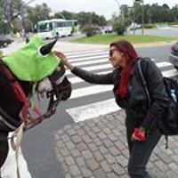 ana_margarida_52090 avatar