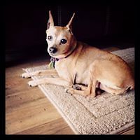 deanna_benson_796 avatar