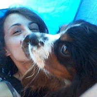 sophie_iremonger avatar