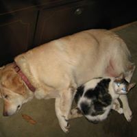 karin_parker_505 avatar