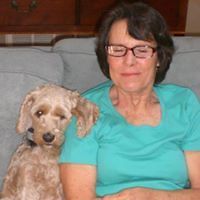 lauraspicermartin avatar