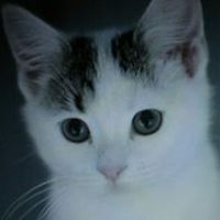 donna_griffiths_146 avatar