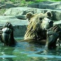 dennis_blanchard_969 avatar