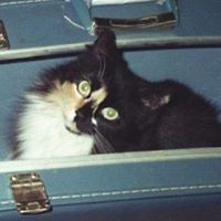 joni_mueller_7 avatar