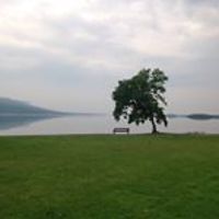 christine_montague_779 avatar