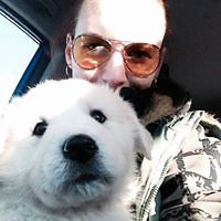 olga_renneberg avatar