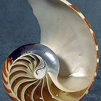 cathy_dejongh_5 avatar