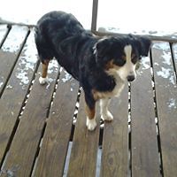 54fb92324988f avatar