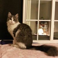 paige_garberding avatar