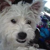 shelia_munro_7 avatar