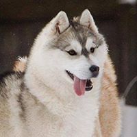 sarah_hubbach avatar