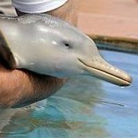 Jewelztrinity avatar