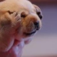 nisha_prince_54 avatar