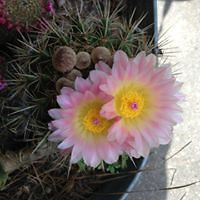 kathleen_mclin avatar