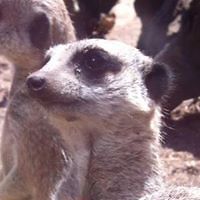 patricia_denis avatar