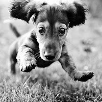 stoicaalexandra avatar