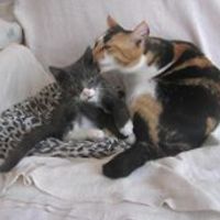 natalie_jarnstedt avatar