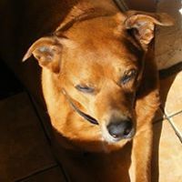 sharon_osborne_399 avatar