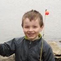 diane_holdgate avatar