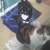 kellie_turley_1 avatar