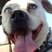 KeepThemOnTheRadar avatar