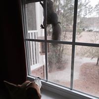 karyn_m_allen avatar