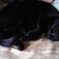 junie_robinson_9 avatar