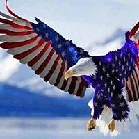 cyndy_r_green avatar