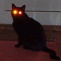 patricia_stevens_397 avatar