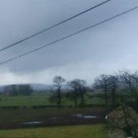 glenn_murray_790 avatar