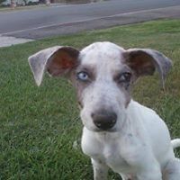 trudy_ashworth_5 avatar