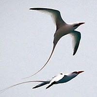 5501c1bb77b28 avatar