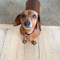 birgit_krueger_7 avatar