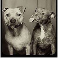 betsy_bryant_7 avatar