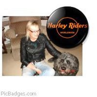 sue_fostercollins avatar