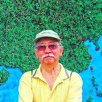 ngocanhnguyen avatar