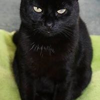 monikamonz_johnson avatar