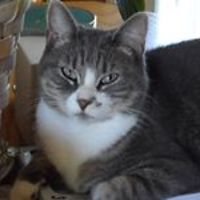 alvin_j_savoy avatar