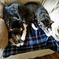 musiclover1991 avatar