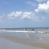 noelle_d_martin1 avatar