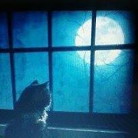 sweetgypsy_1958 avatar