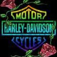 squeek_ster_7 avatar