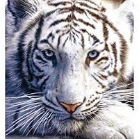 tammy_lemaster_7 avatar