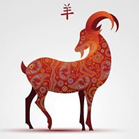 daiany_obrien avatar